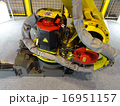 16951157